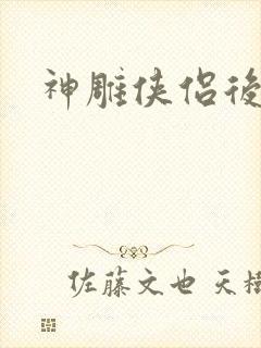 神雕侠侣后传封面