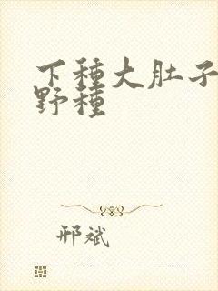 下种大肚子怀孕野种