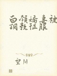 白领娇妻被老板调教征服