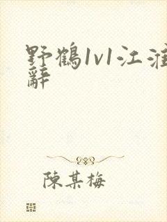 野鹤1v1江淮辞封面