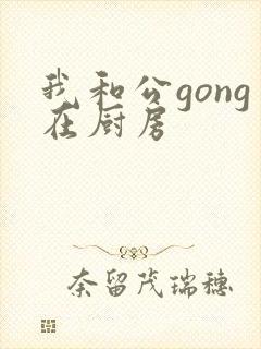 我和公gong在厨房