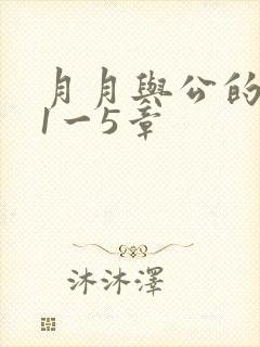 月月与公的激情1一5章