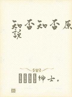 知否知否原著小说
