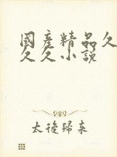 国产精品久久久久久小说