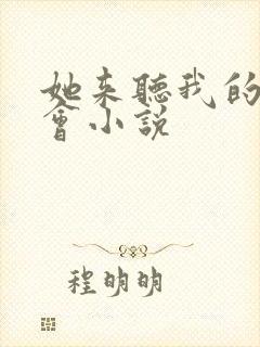 她来听我的演唱会小说封面