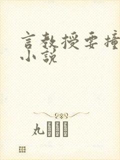 言教授要撞坏了小说