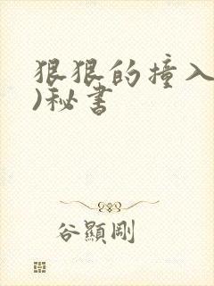 狠狠的撞入(h)秘书