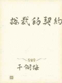 总裁的契约情人