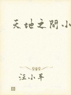 天地之间小说