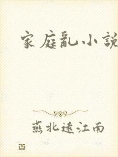家庭乱小说