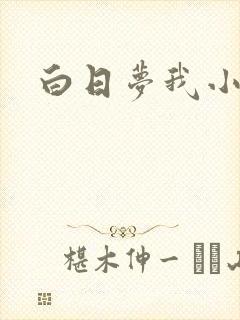 白日梦我小说