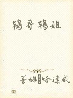鸨哥鸨姐