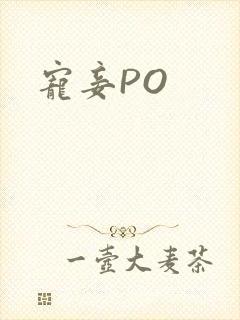 宠妾PO