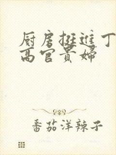 厨房挺进丁字裤高官贵妇封面