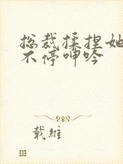 总裁揉捏她两乳不停呻吟