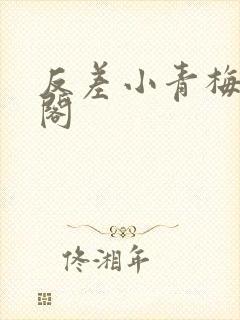 反差小青梅笔趣阁