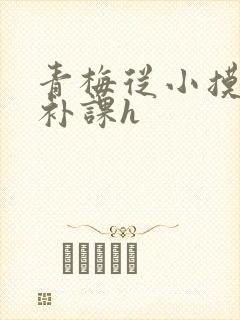 青梅从小摸到大补课h