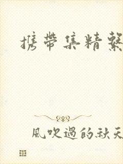 携带集精系统封面