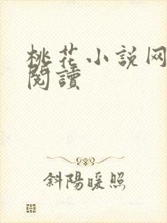 桃花小说网小说阅读封面