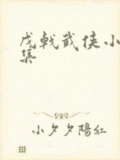 戊戟武侠小说全集封面