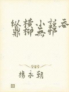 纵横小说吞天神鼎柳无邪封面