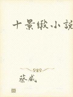 十景缎小说