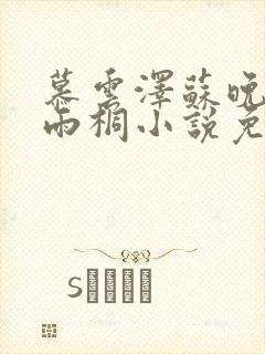 慕云泽苏晚晴夏雨桐小说免费阅读