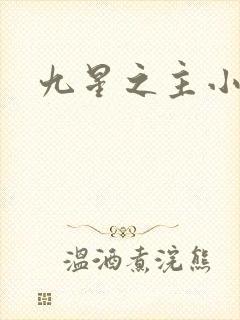 九星之主小说