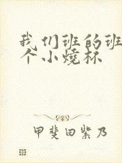 我们班的班花是个小烧杯封面