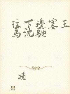 往下边塞玉器骑马沈驰