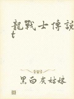 龙战士传说txt
