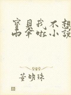 宝贝我不想带小雨伞啦小说封面