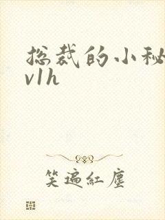 总裁的小秘书1v1h