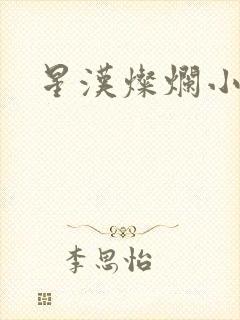 星汉灿烂小说