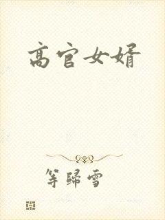 高官女婿