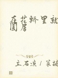 在花轿里就开始圆房