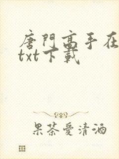 唐门高手在异世txt下载封面