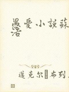 愚爱小说苏倩孙浩封面