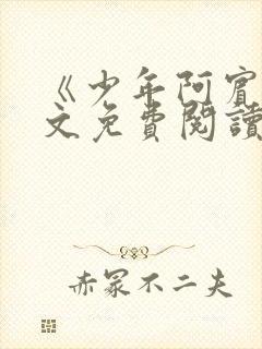 《少年阿宾》全文免费阅读封面