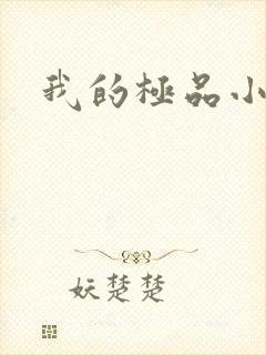 我的极品小姨