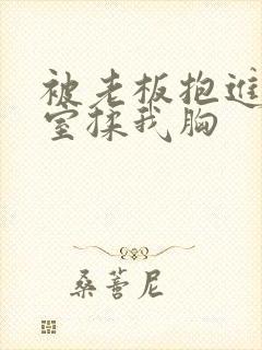 被老板抱进办公室揉我胸封面