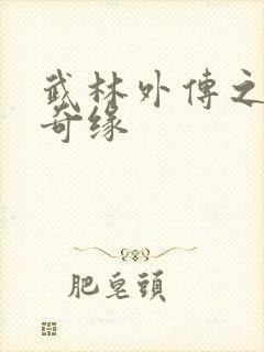 武林外传之同福奇缘