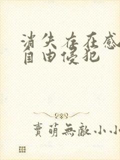 消失存在感消失自由侵犯