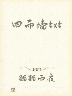 四面墙txt封面