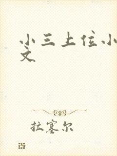 小三上位小说全文封面