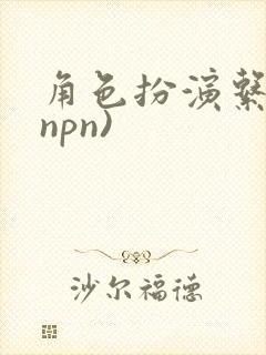 角色扮演系统(npn)封面