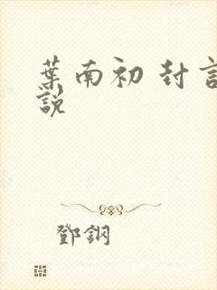 叶南初 封言小说