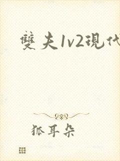 双夫1v2现代