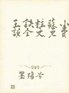 王铁柱苏小汐小说全文免费阅读最新章节