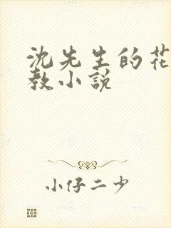 沈先生的花式管教小说封面